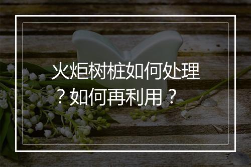 火炬树桩如何处理?如何再利用?