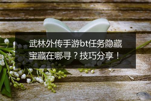 武林外传手游bt任务隐藏宝藏在哪寻?技巧分享!