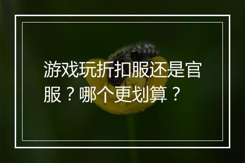 游戏玩折扣服还是官服?哪个更划算?