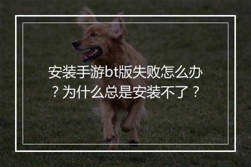 安装手游bt版失败怎么办?为什么总是安装不了?