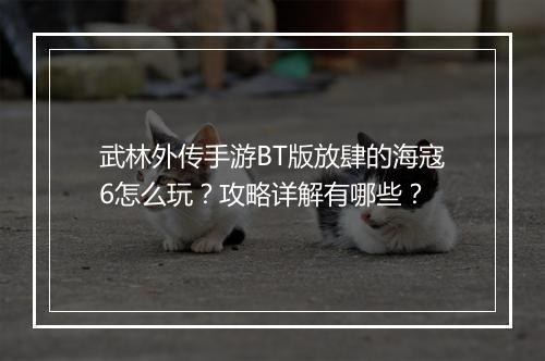 武林外传手游BT版放肆的海寇6怎么玩?攻略详解有哪些?
