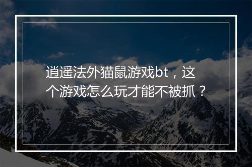 逍遥法外猫鼠游戏bt,这个游戏怎么玩才能不被抓?