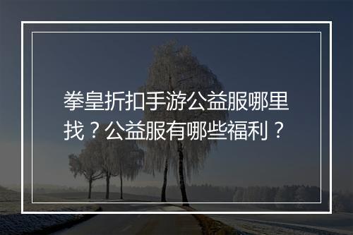 拳皇折扣手游公益服哪里找?公益服有哪些福利?