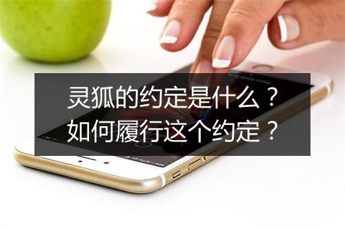 灵狐的约定是什么?如何履行这个约定?