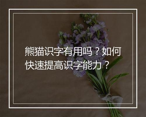 熊猫识字有用吗?如何快速提高识字能力?