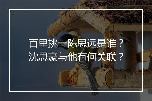 百里挑一陈思远是谁?沈思豪与他有何关联?