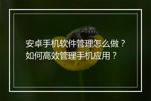 安卓手机软件管理怎么做?如何高效管理手机应用?