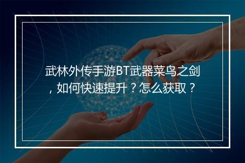 武林外传手游BT武器菜鸟之剑，如何快速提升？怎么获取？