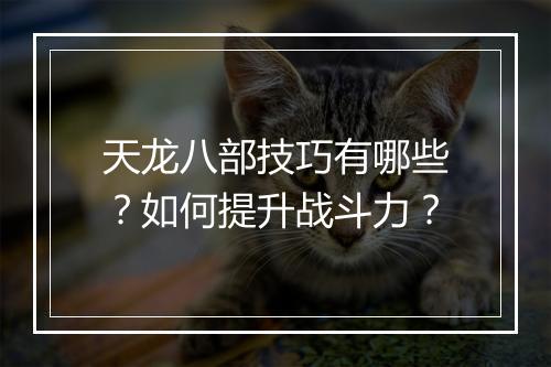 天龙八部技巧有哪些?如何提升战斗力?