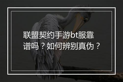 联盟契约手游bt服靠谱吗？如何辨别真伪？