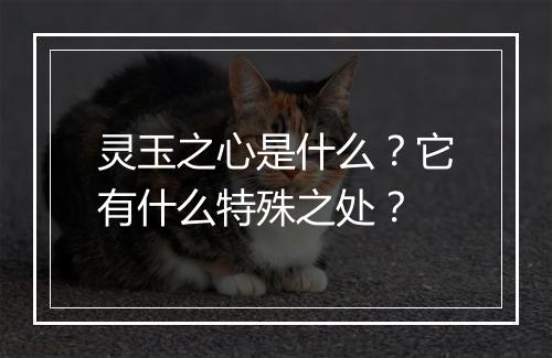 灵玉之心是什么?它有什么特殊之处?
