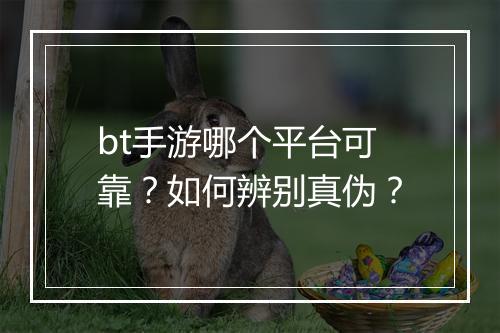 bt手游哪个平台可靠？如何辨别真伪？