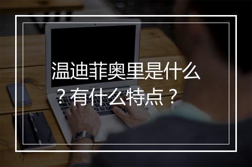 温迪菲奥里是什么？有什么特点？