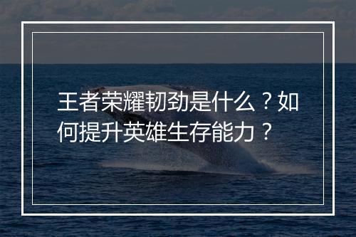 王者荣耀韧劲是什么？如何提升英雄生存能力？