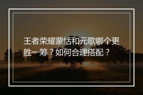 王者荣耀蒙恬和元歌哪个更胜一筹？如何合理搭配？
