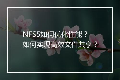 NFS5如何优化性能?如何实现高效文件共享?
