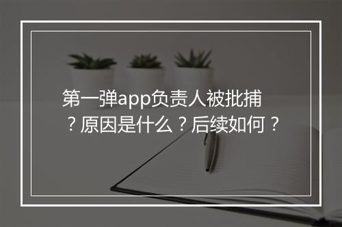 第一弹app负责人被批捕？原因是什么？后续如何？