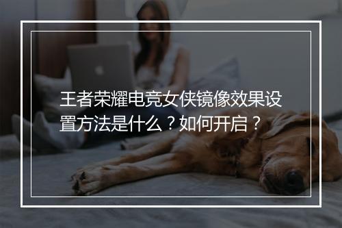 王者荣耀电竞女侠镜像效果设置方法是什么？如何开启？