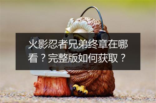 火影忍者兄弟终章在哪看？完整版如何获取？