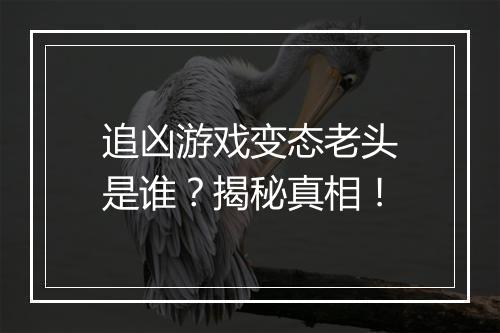追凶游戏变态老头是谁?揭秘真相!