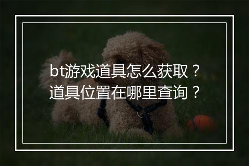 bt游戏道具怎么获取?道具位置在哪里查询?