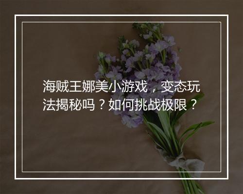 海贼王娜美小游戏,变态玩法揭秘吗?如何挑战极限?