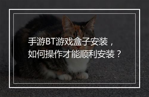 手游BT游戏盒子安装,如何操作才能顺利安装?