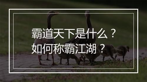霸道天下是什么？如何称霸江湖？
