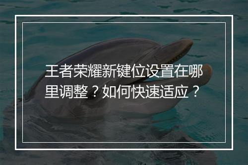 王者荣耀新键位设置在哪里调整？如何快速适应？