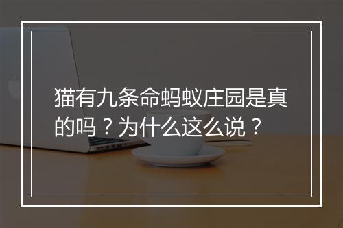 猫有九条命蚂蚁庄园是真的吗?为什么这么说?