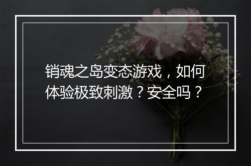 销魂之岛变态游戏,如何体验极致刺激?安全吗?