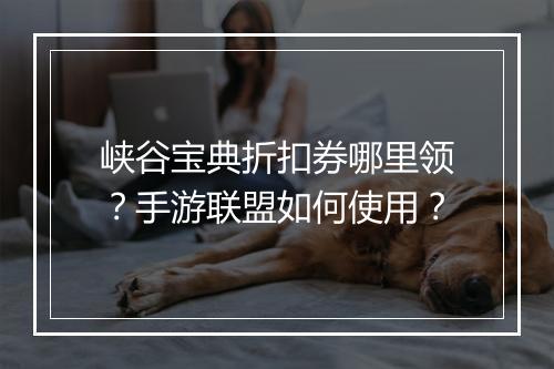 峡谷宝典折扣券哪里领?手游联盟如何使用?