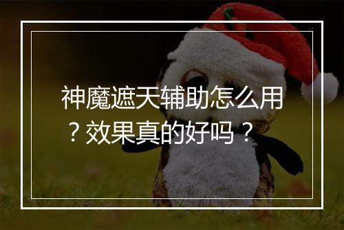 神魔遮天辅助怎么用?效果真的好吗?