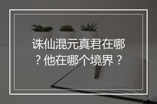 诛仙混元真君在哪？他在哪个境界？