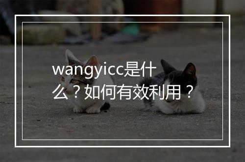 wangyicc是什么?如何有效利用?