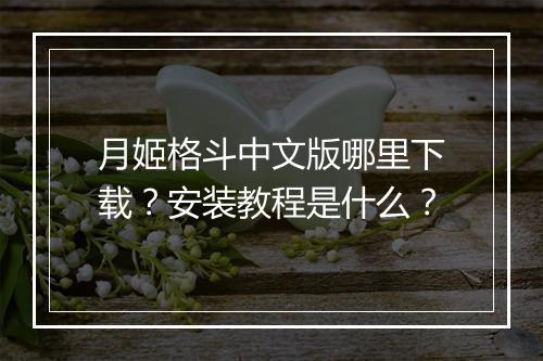 月姬格斗中文版哪里下载?安装教程是什么?