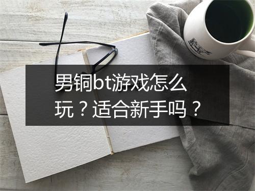 男铜bt游戏怎么玩?适合新手吗?