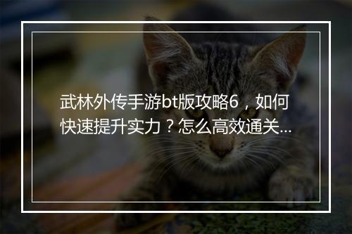 武林外传手游bt版攻略6，如何快速提升实力？怎么高效通关？