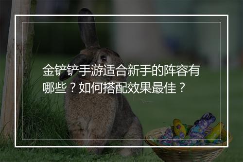 金铲铲手游适合新手的阵容有哪些？如何搭配效果最佳？
