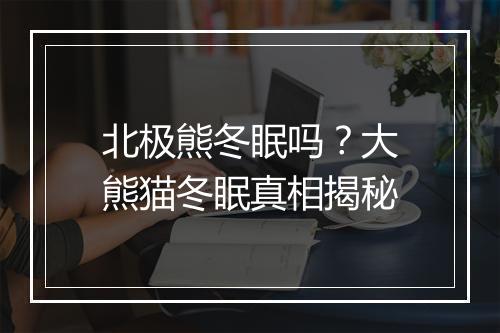 北极熊冬眠吗?大熊猫冬眠真相揭秘