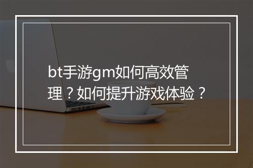bt手游gm如何高效管理?如何提升游戏体验?