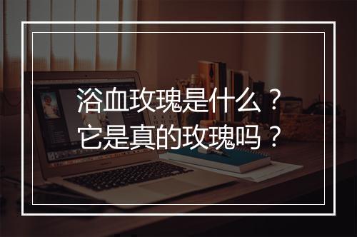 浴血玫瑰是什么?它是真的玫瑰吗?