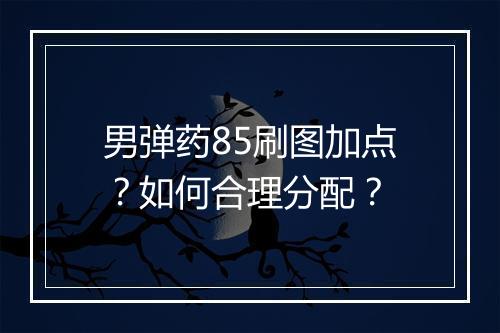 男弹药85刷图加点?如何合理分配?