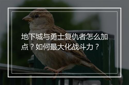 地下城与勇士复仇者怎么加点？如何最大化战斗力？