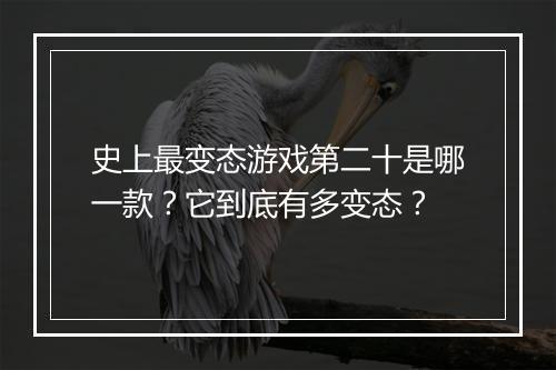 史上最变态游戏第二十是哪一款?它到底有多变态?