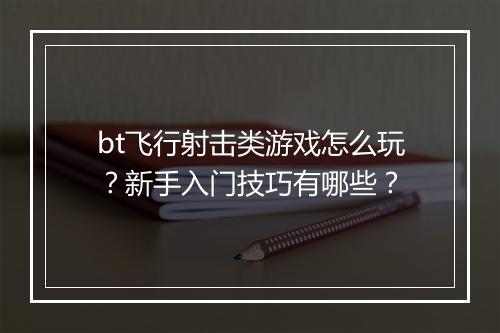 bt飞行射击类游戏怎么玩?新手入门技巧有哪些?
