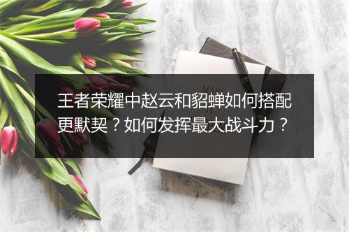 王者荣耀中赵云和貂蝉如何搭配更默契？如何发挥最大战斗力？