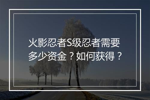 火影忍者S级忍者需要多少资金？如何获得？