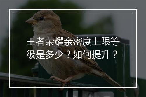 王者荣耀亲密度上限等级是多少？如何提升？