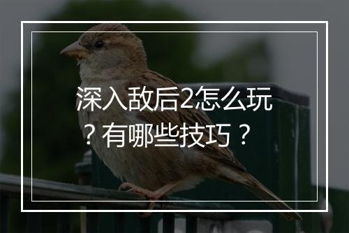 深入敌后2怎么玩？有哪些技巧？